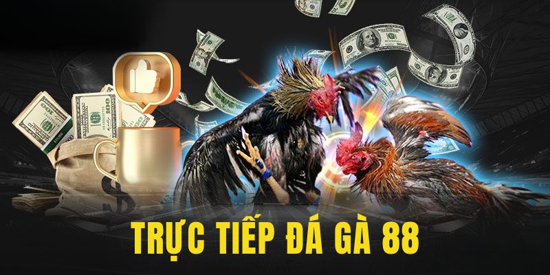 trực tiếp Đá Gà 88